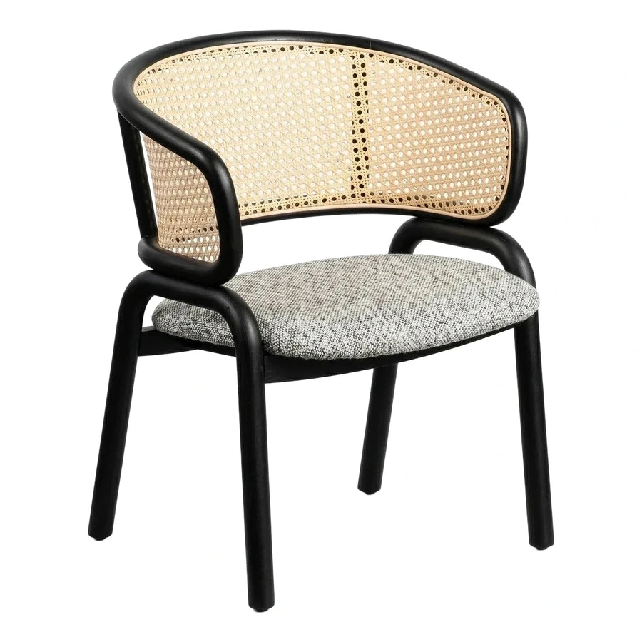 Black Bentwood Armchair with Cane Back and Fabric Seat