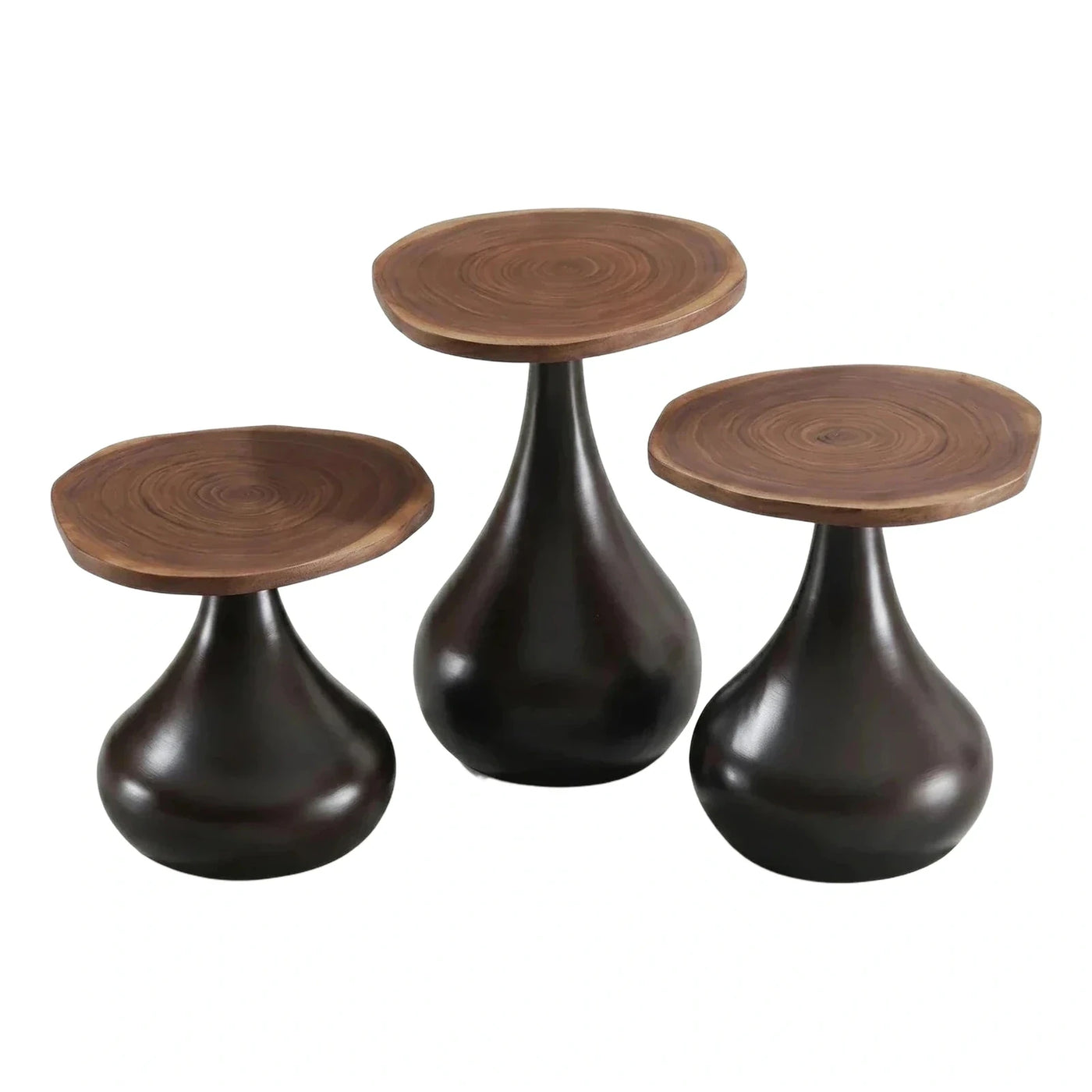 Sculptural Dark Wood Organic Side Tables