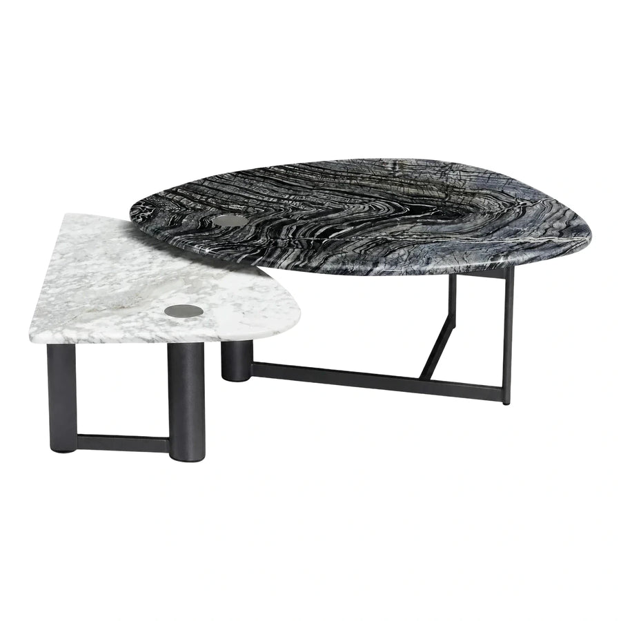 Modern Organic Marble Top Coffee Table Set