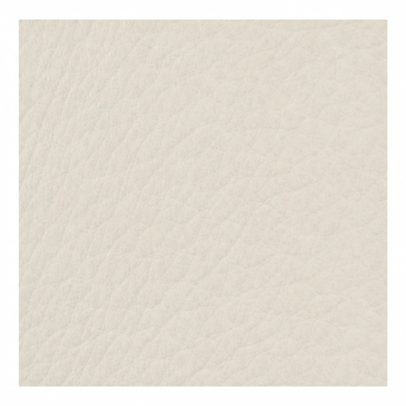 Cream Textured Leather Upholstery Swatch