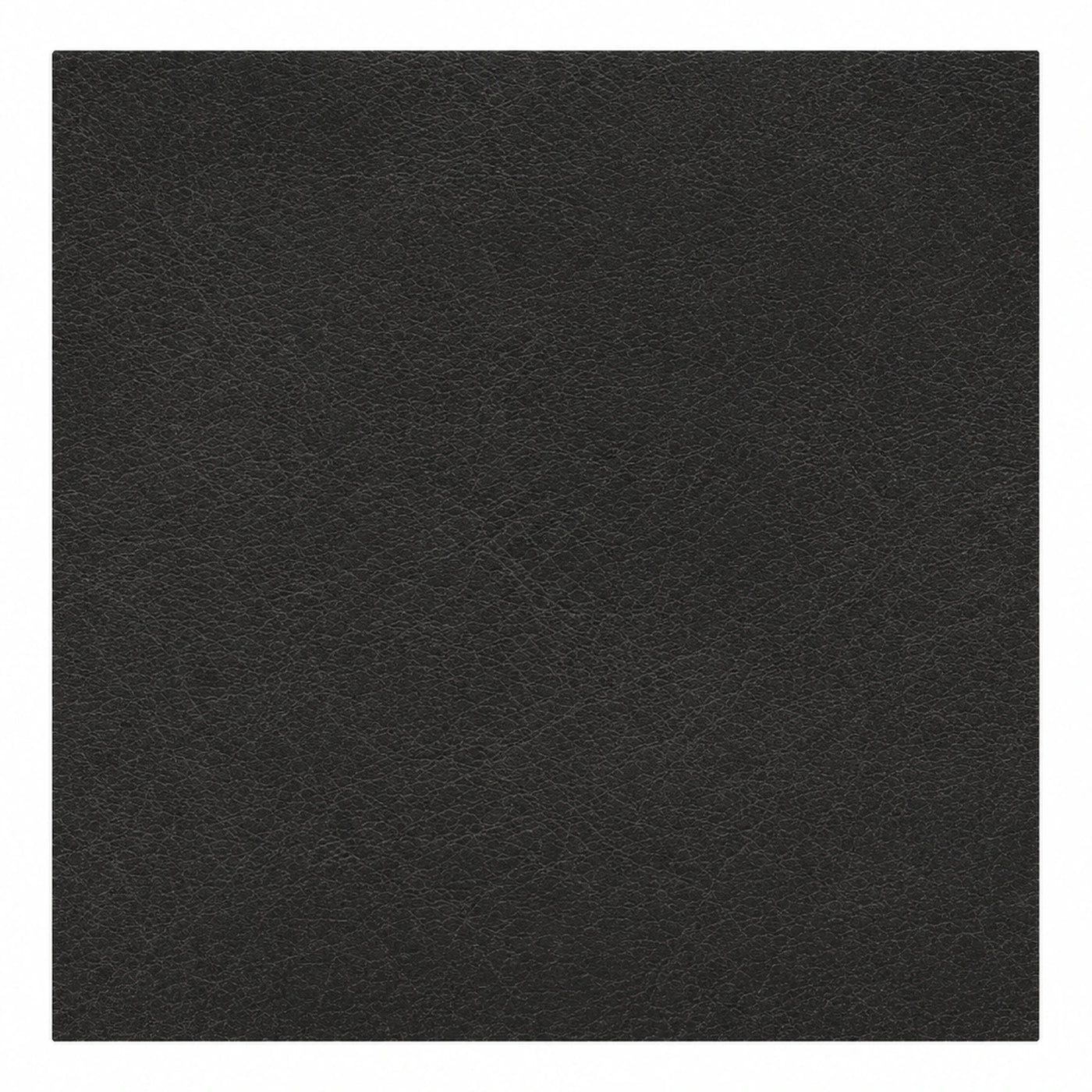 Black Leather Texture Swatch Sample