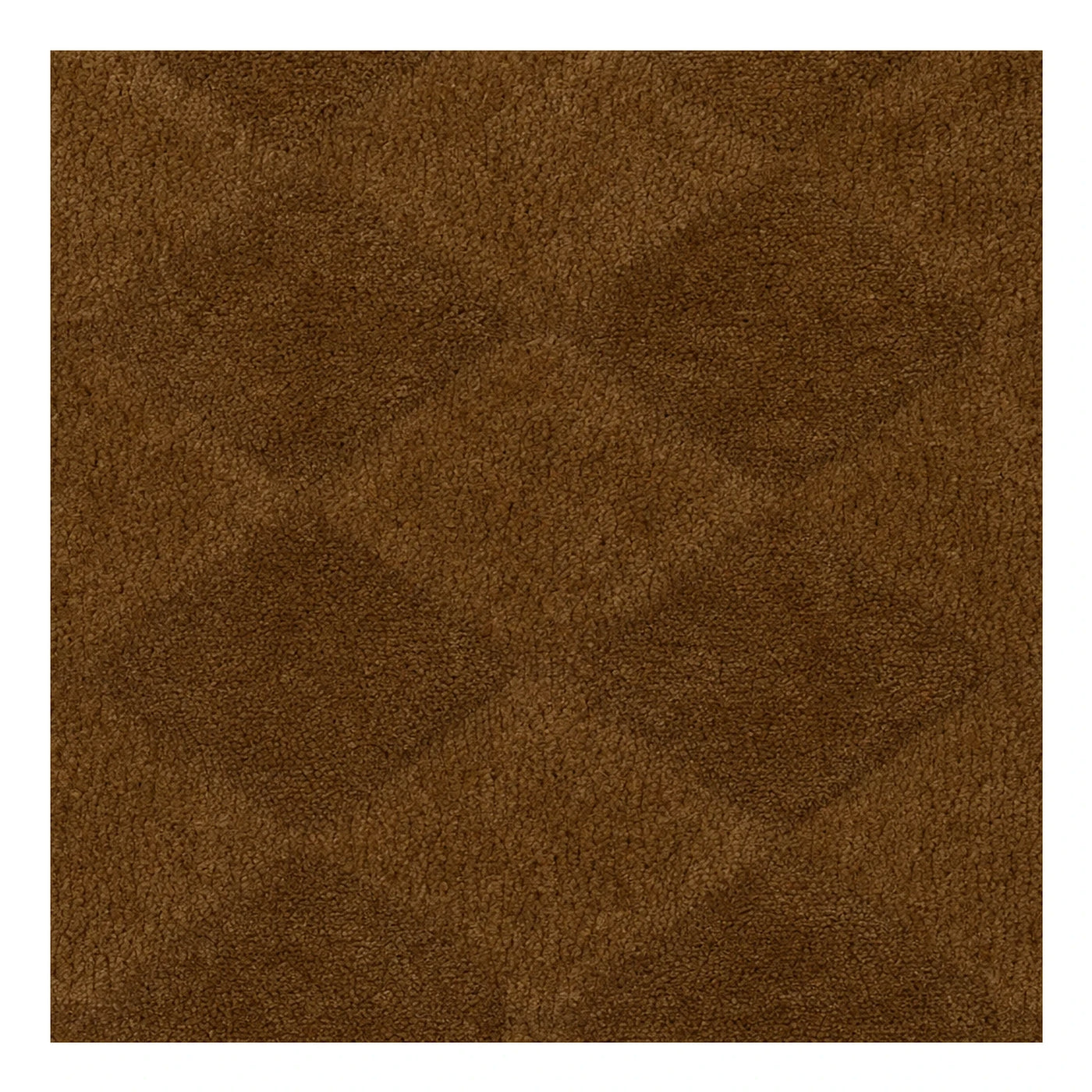 Brown Shag Area Rug