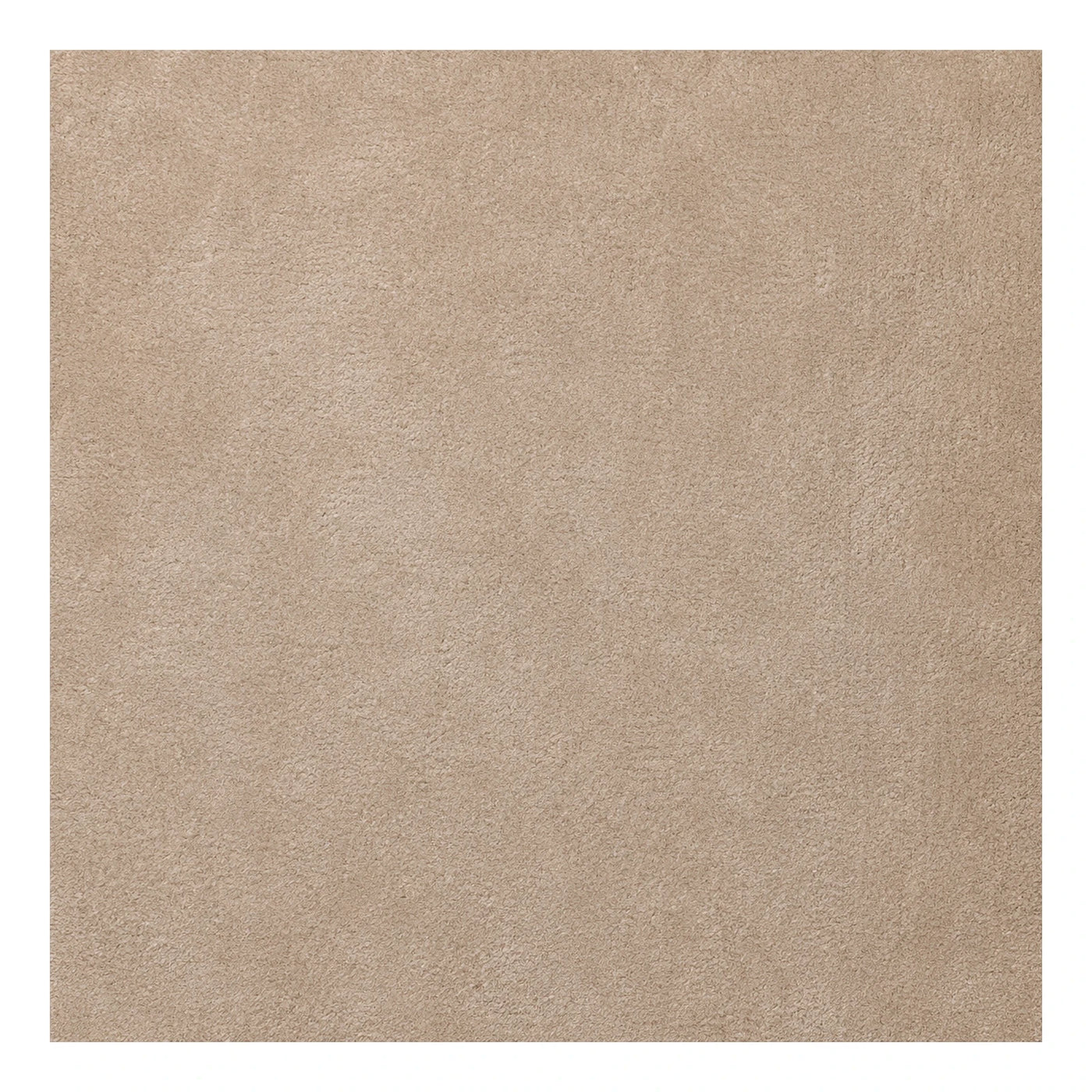 Beige Textured Area Rug