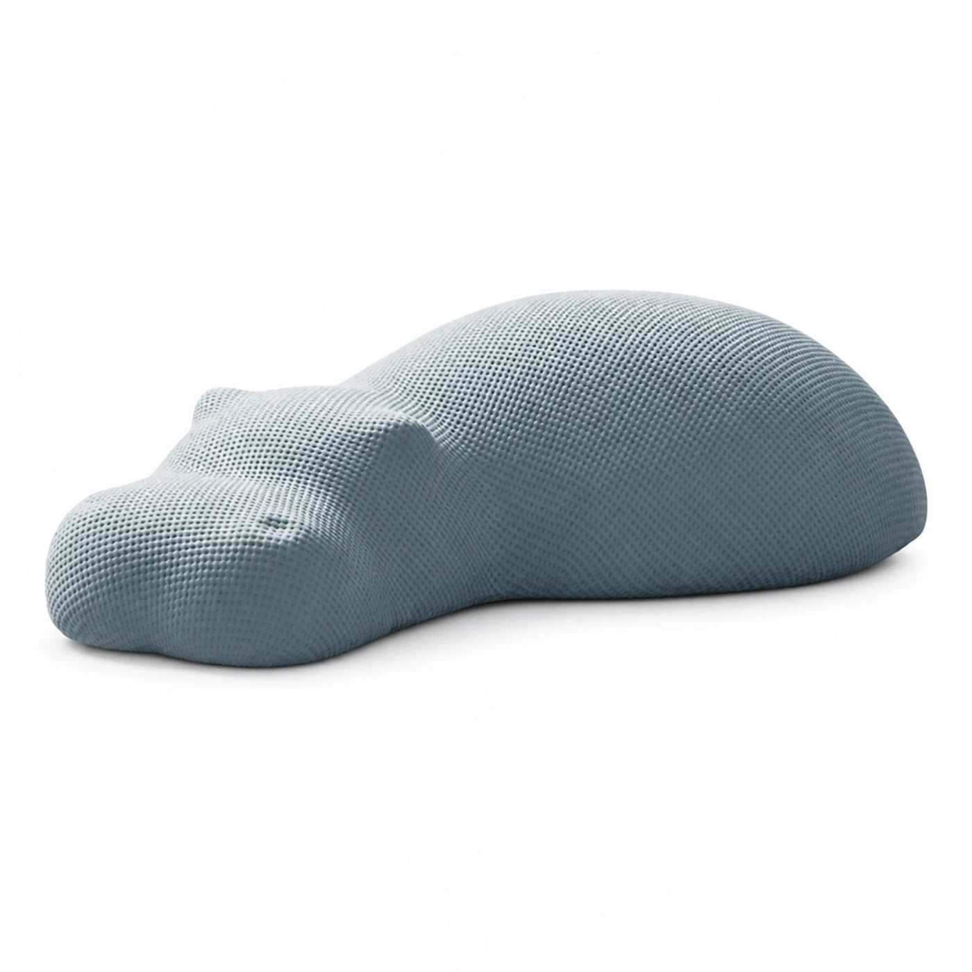 Blue Ergonomic Contour Memory Foam Pillow