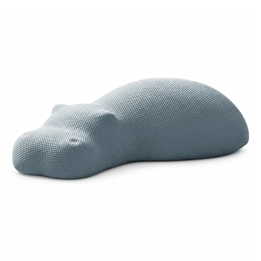 Blue Ergonomic Contour Memory Foam Pillow