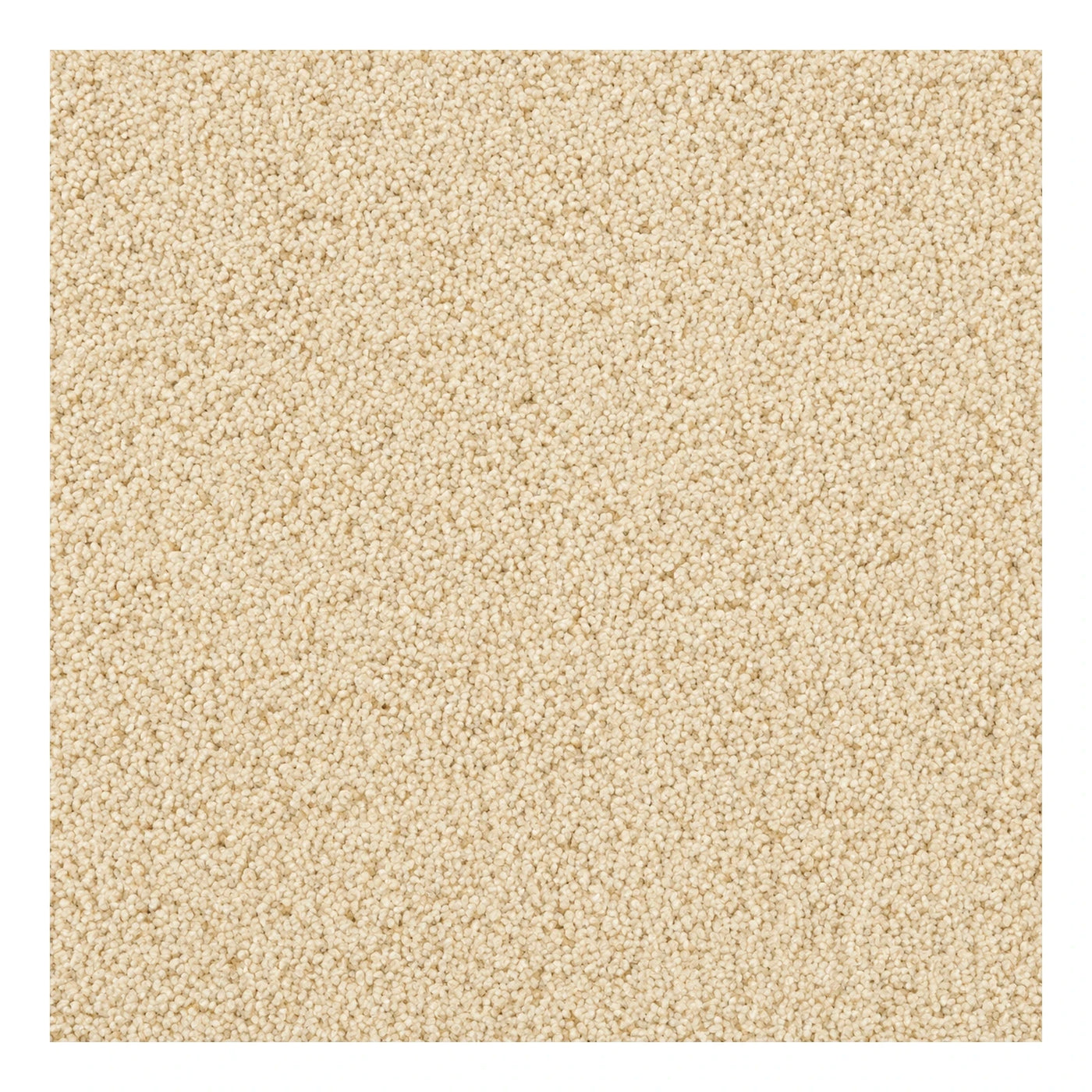 Beige Textured Carpet Flooring Material