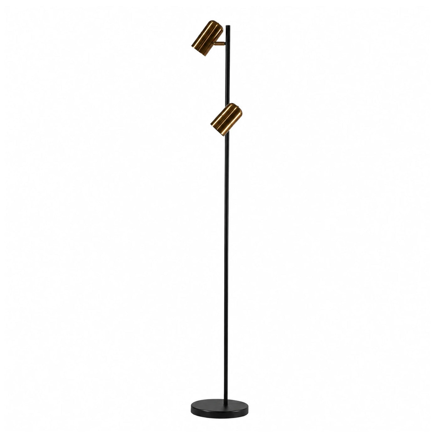 Black and Gold Dual-Head Floor Lamp