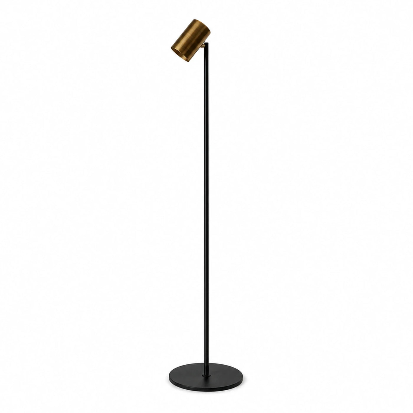 Black and Brass Minimalist Floor Lamp