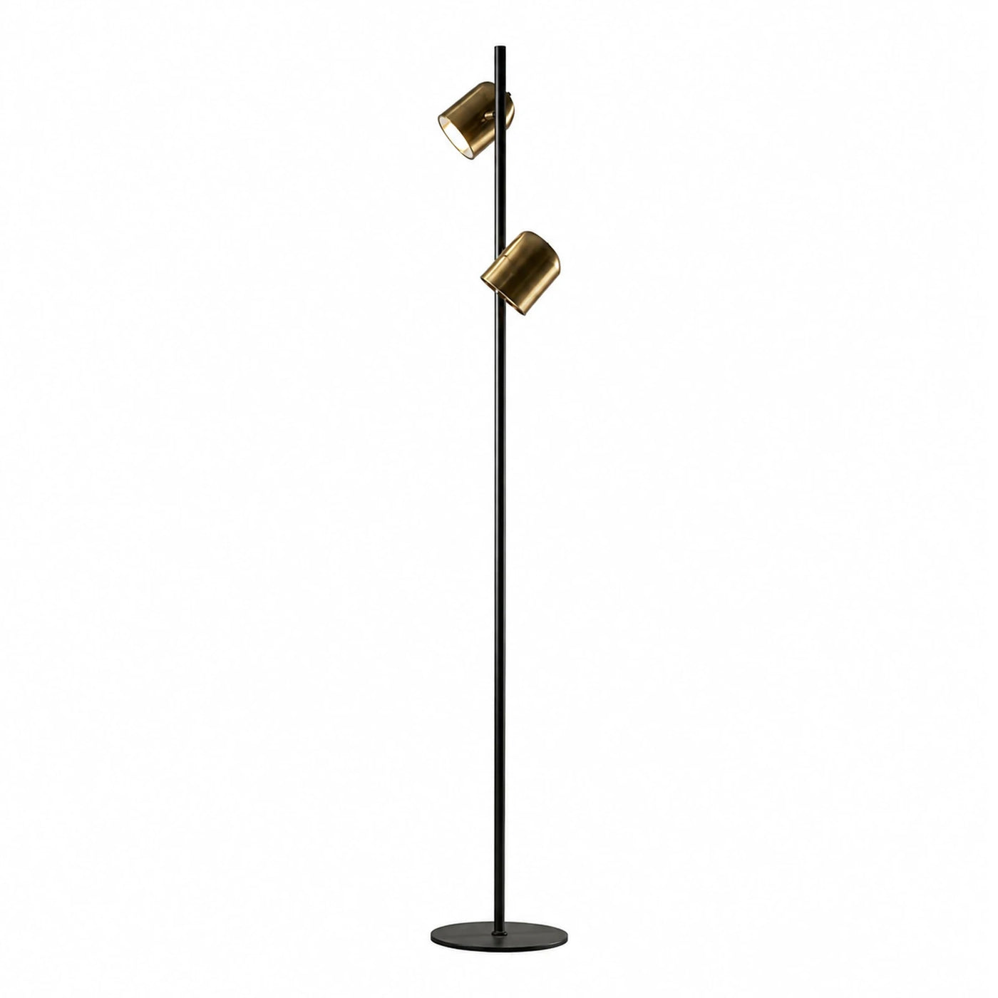 Black and Brass Dual-Head Adjustable Floor Lamp