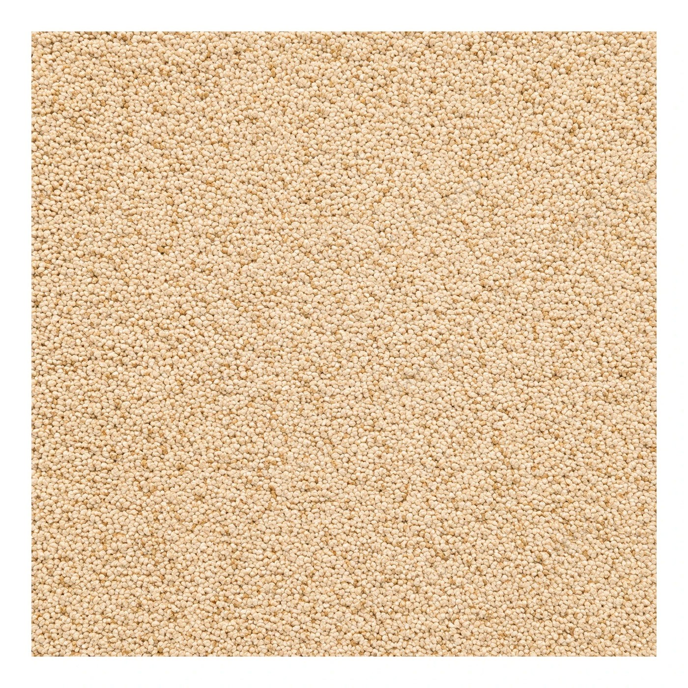 Beige Textured Loop Pile Carpet Tile