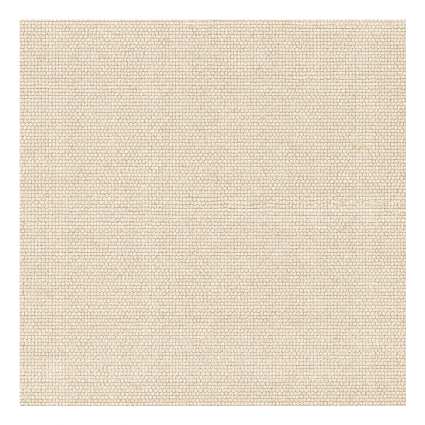 Beige Woven Textured Area Rug