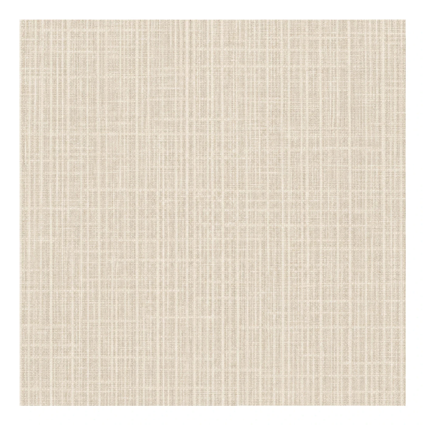 Beige Textured Woven Fabric Swatch