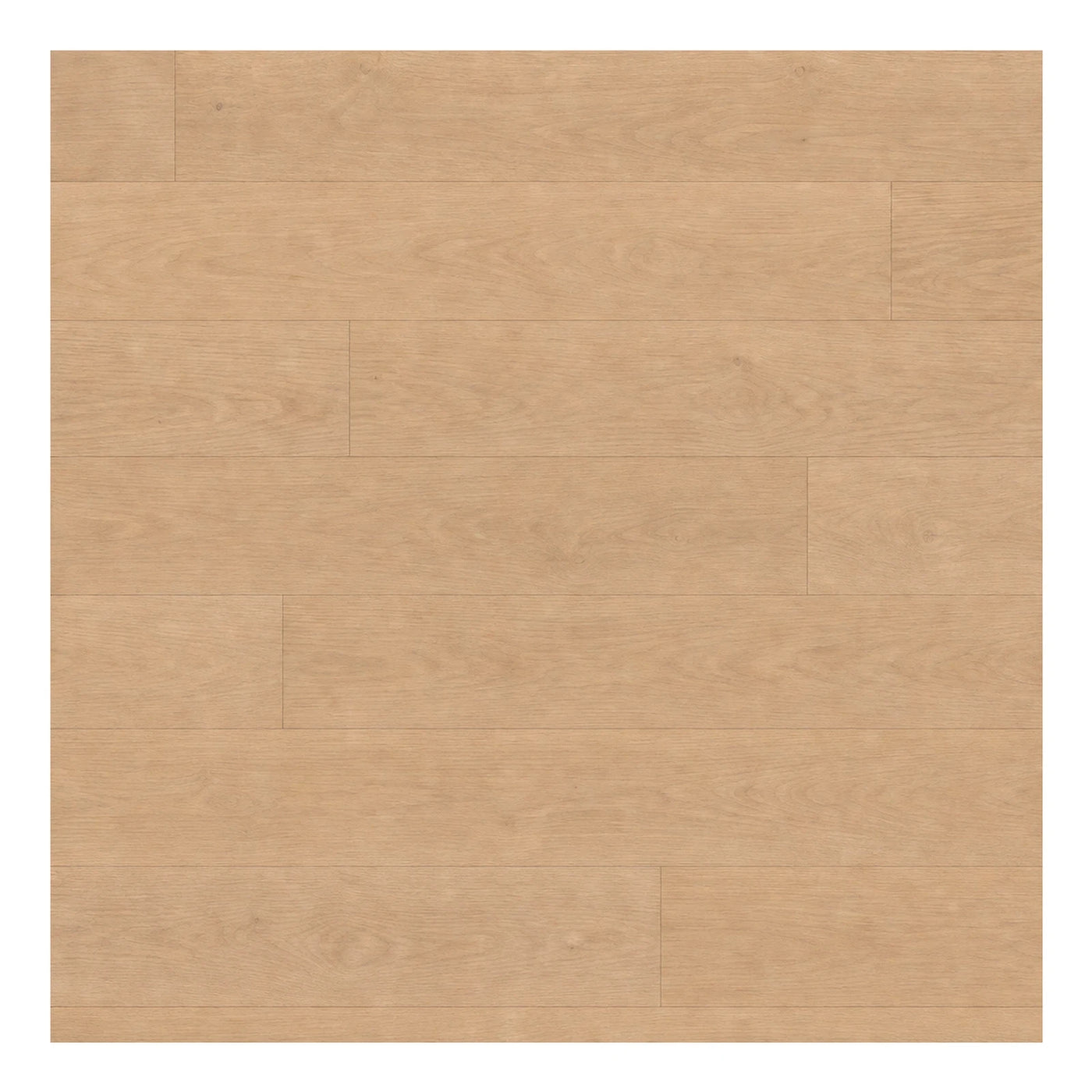 Contemporary Light Oak Wood Plank Flooring Wood Flooring