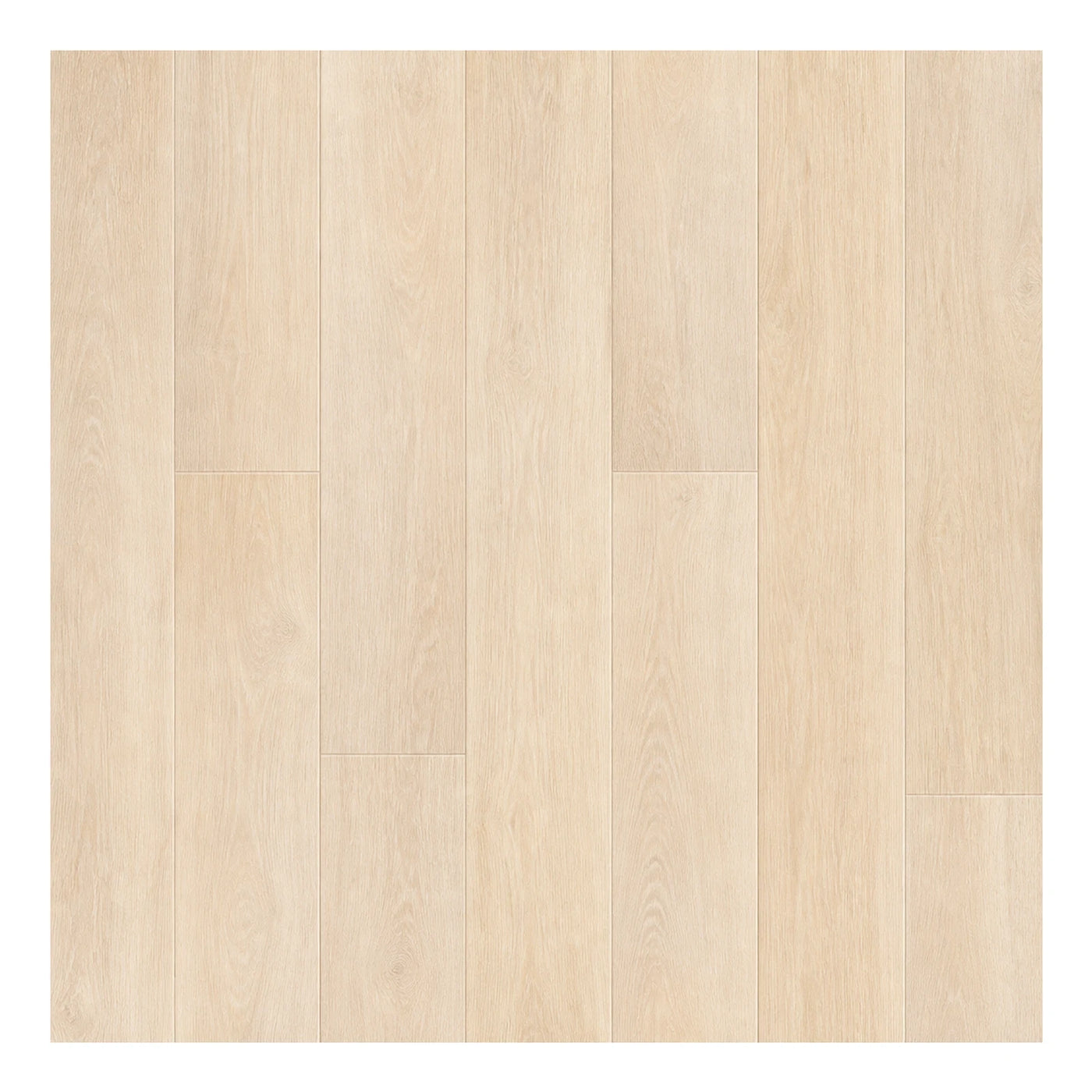 Cream Soft Neutral Light Oak Wood Plank Flooring Wood Flooring