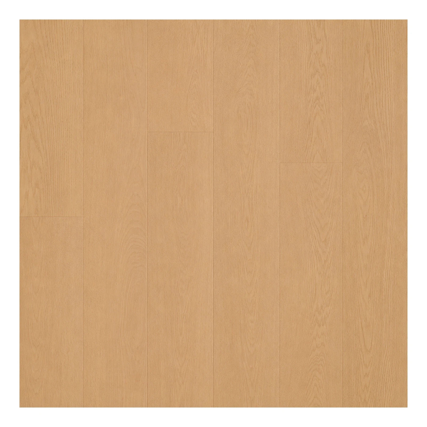 Soft Neutral Light Oak Wood Plank Flooring Wood Flooring