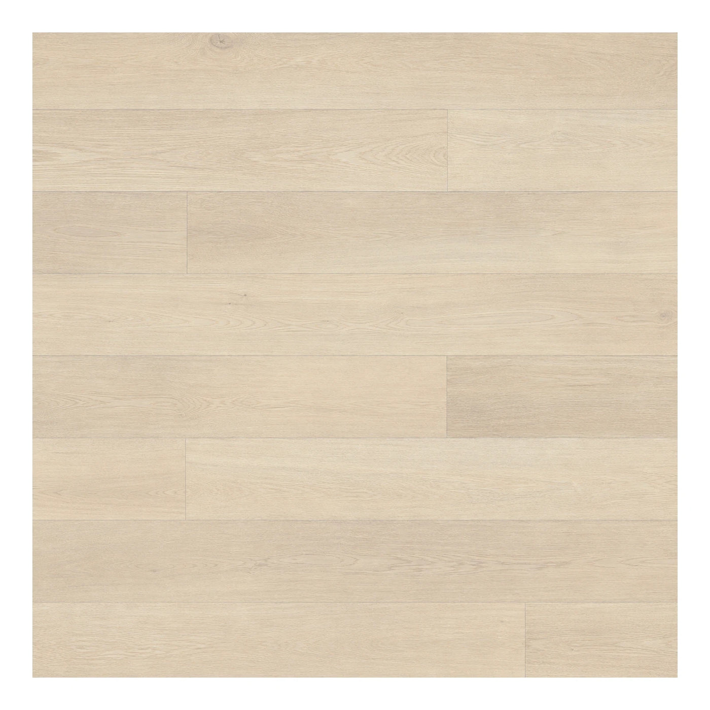 Beige Soft Neutral Light Oak Wood Plank Flooring Wood Flooring