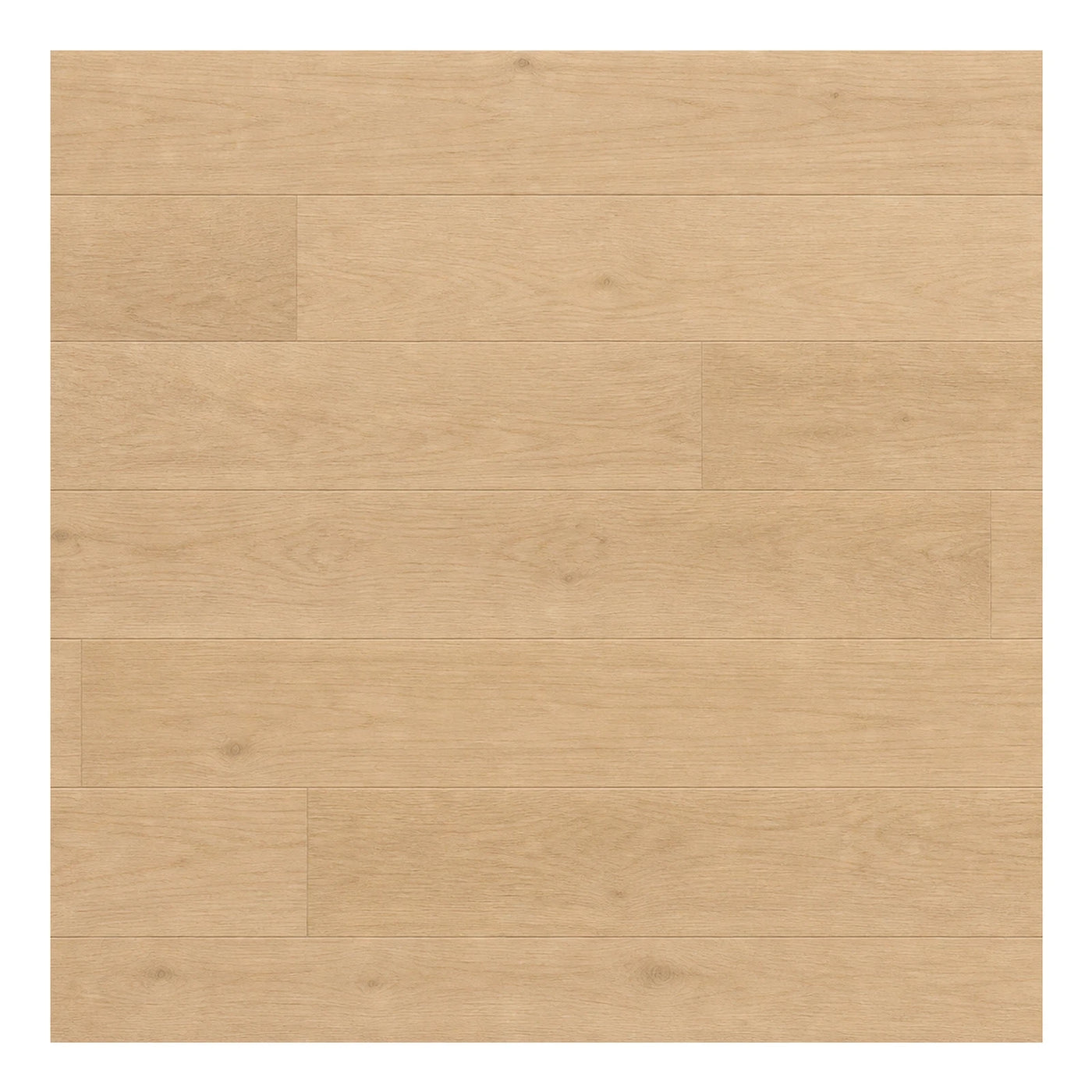Minimal Light Oak Wood Plank Flooring Wood Flooring