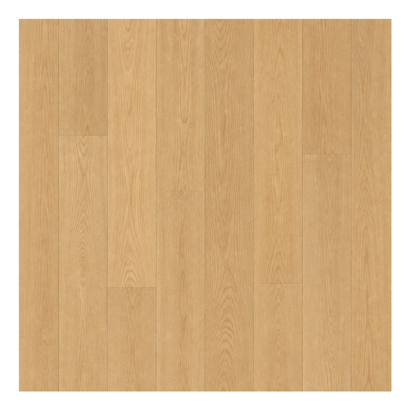 Showroom Light Oak Wood Plank Flooring Wood Flooring