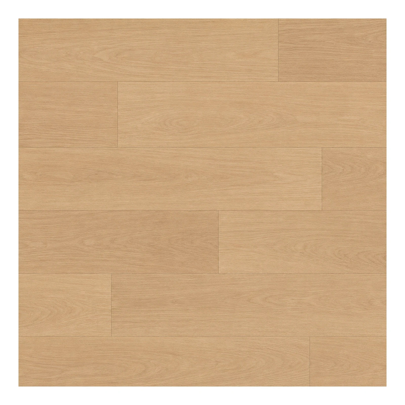 Contemporary Light Oak Wood Plank Flooring Wood Flooring