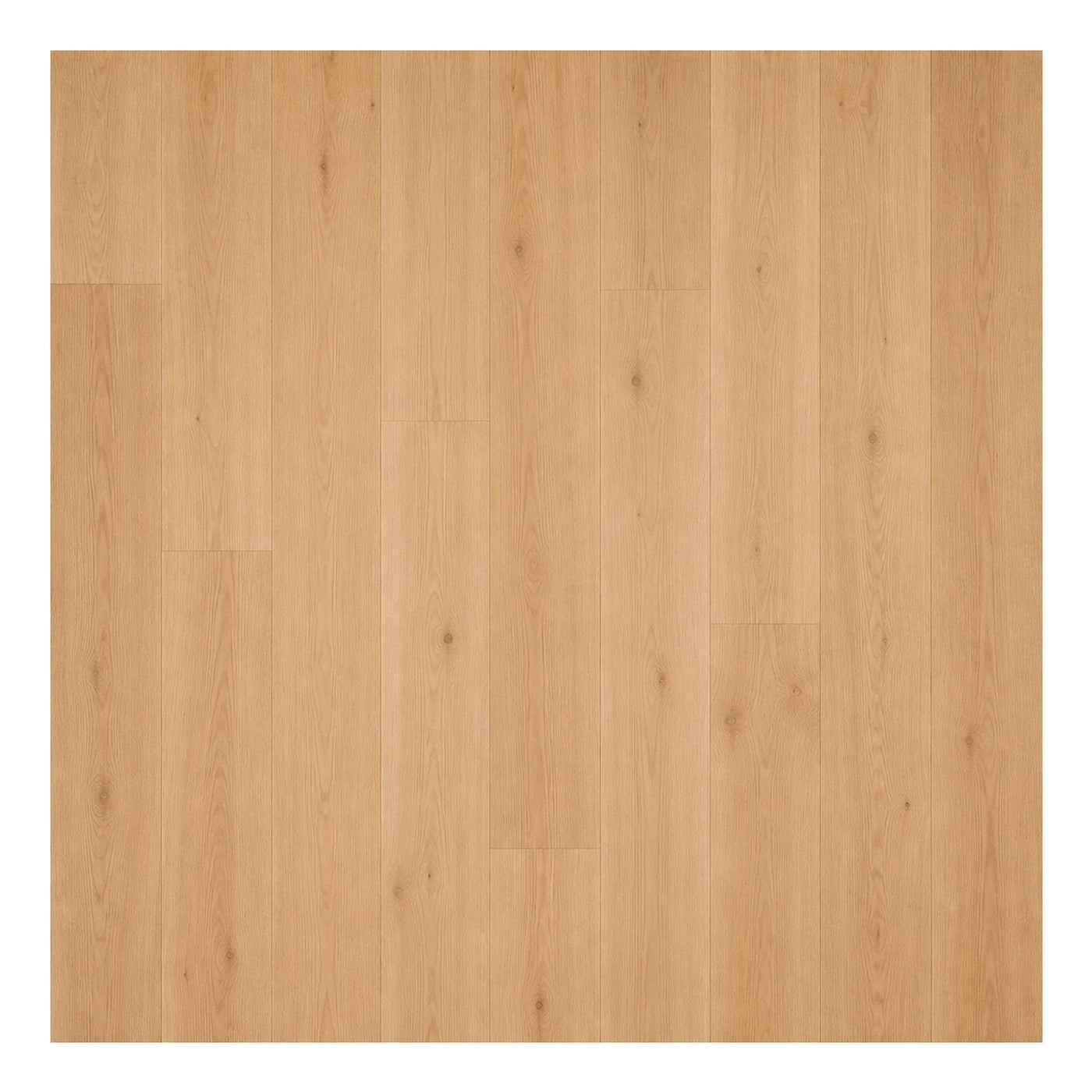 Showroom Light Oak Wood Plank Flooring Wood Flooring