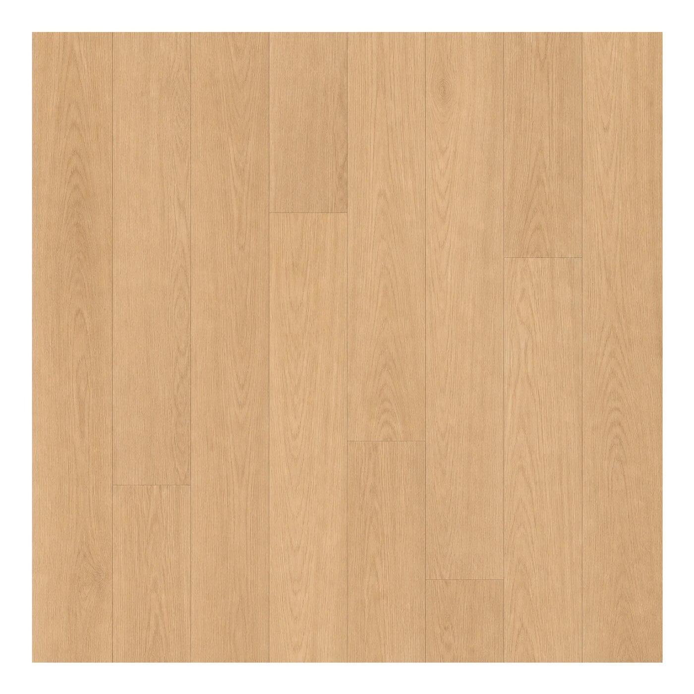 Subtle Grain Light Oak Wood Plank Flooring Wood Flooring