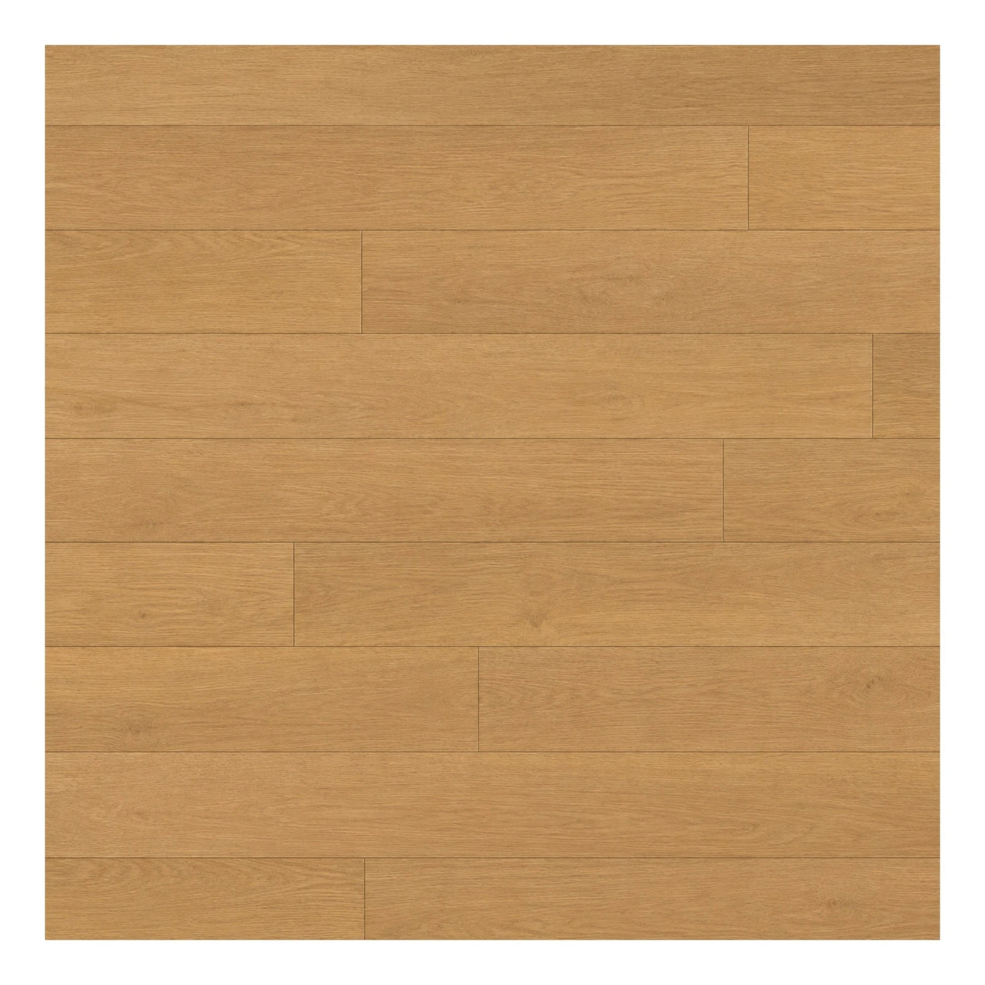 Light Tone Light Oak Wood Plank Flooring Wood Flooring