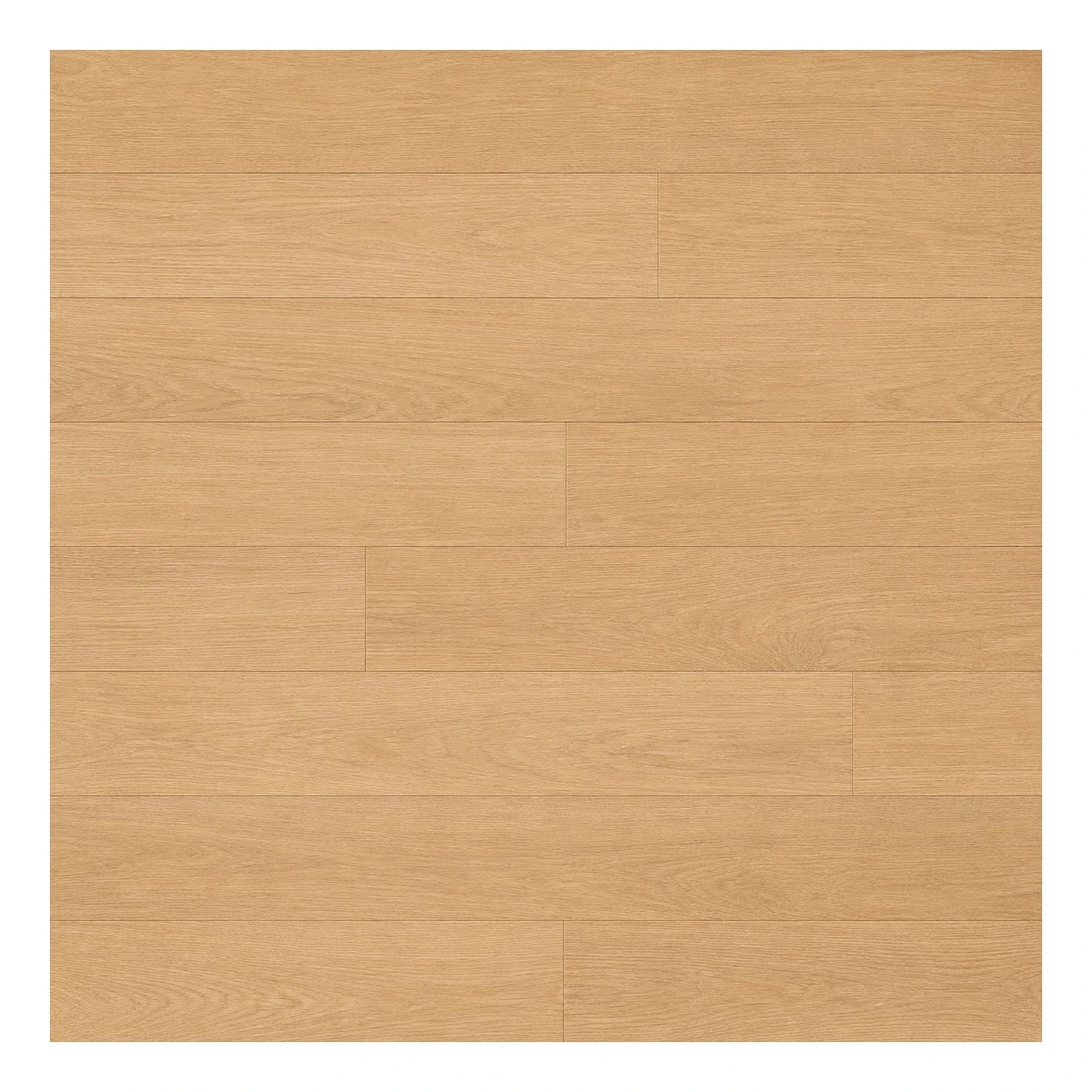 Clean Line Light Oak Wood Plank Flooring Wood Flooring