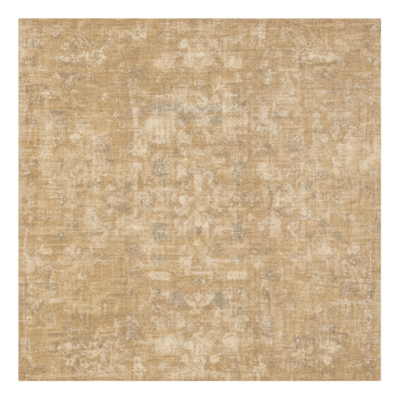 Beige Distressed Vintage Style Area Rug