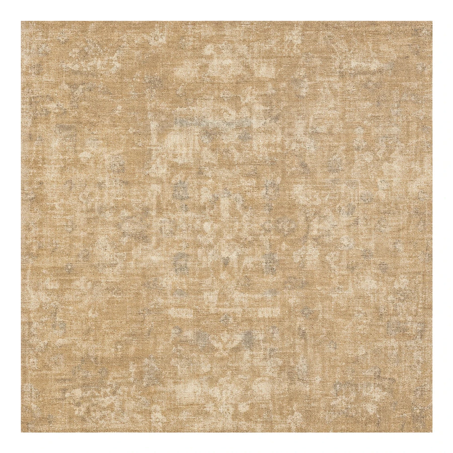 Beige Distressed Vintage Style Area Rug