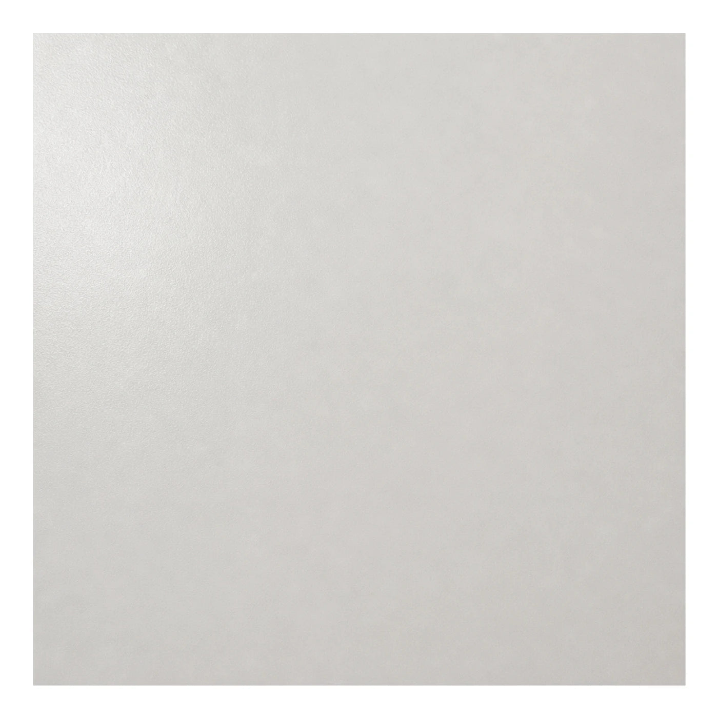 Light Grey Textured Floor Tile