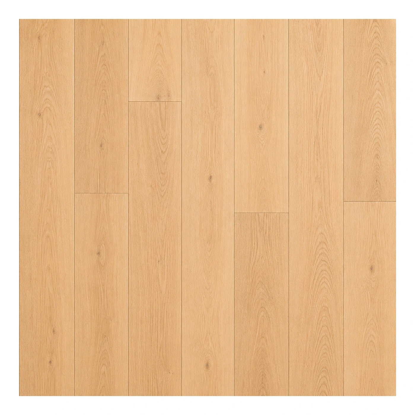 Linear Light Oak Wood Plank Flooring Wood Flooring