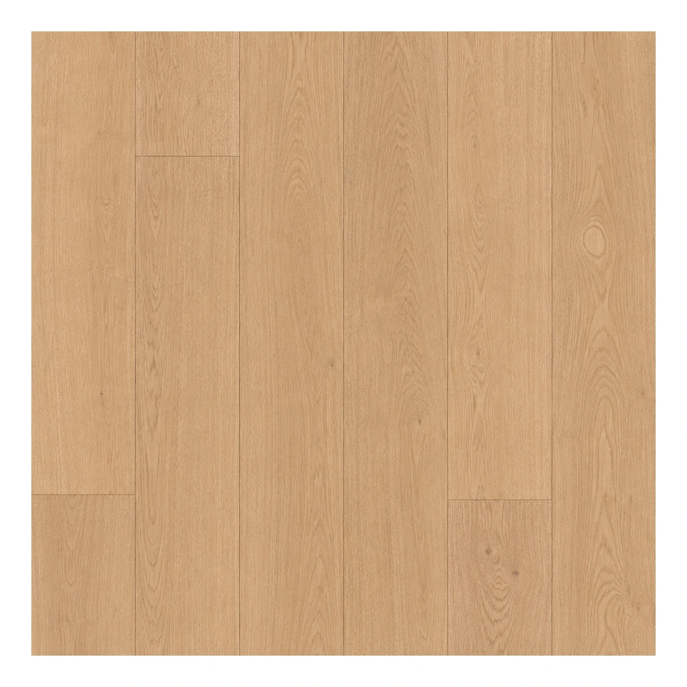 Subtle Grain Light Oak Wood Plank Flooring Wood Flooring