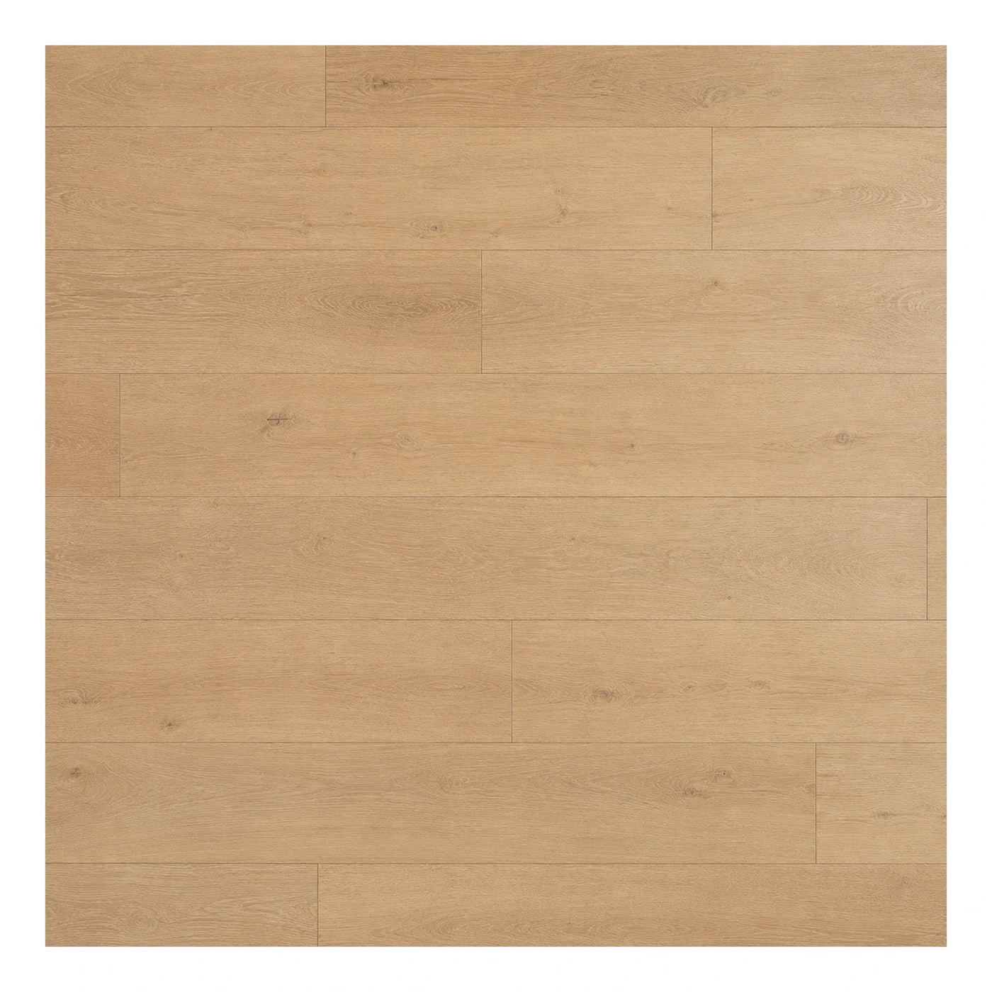 Light Tone Light Oak Wood Plank Flooring Wood Flooring