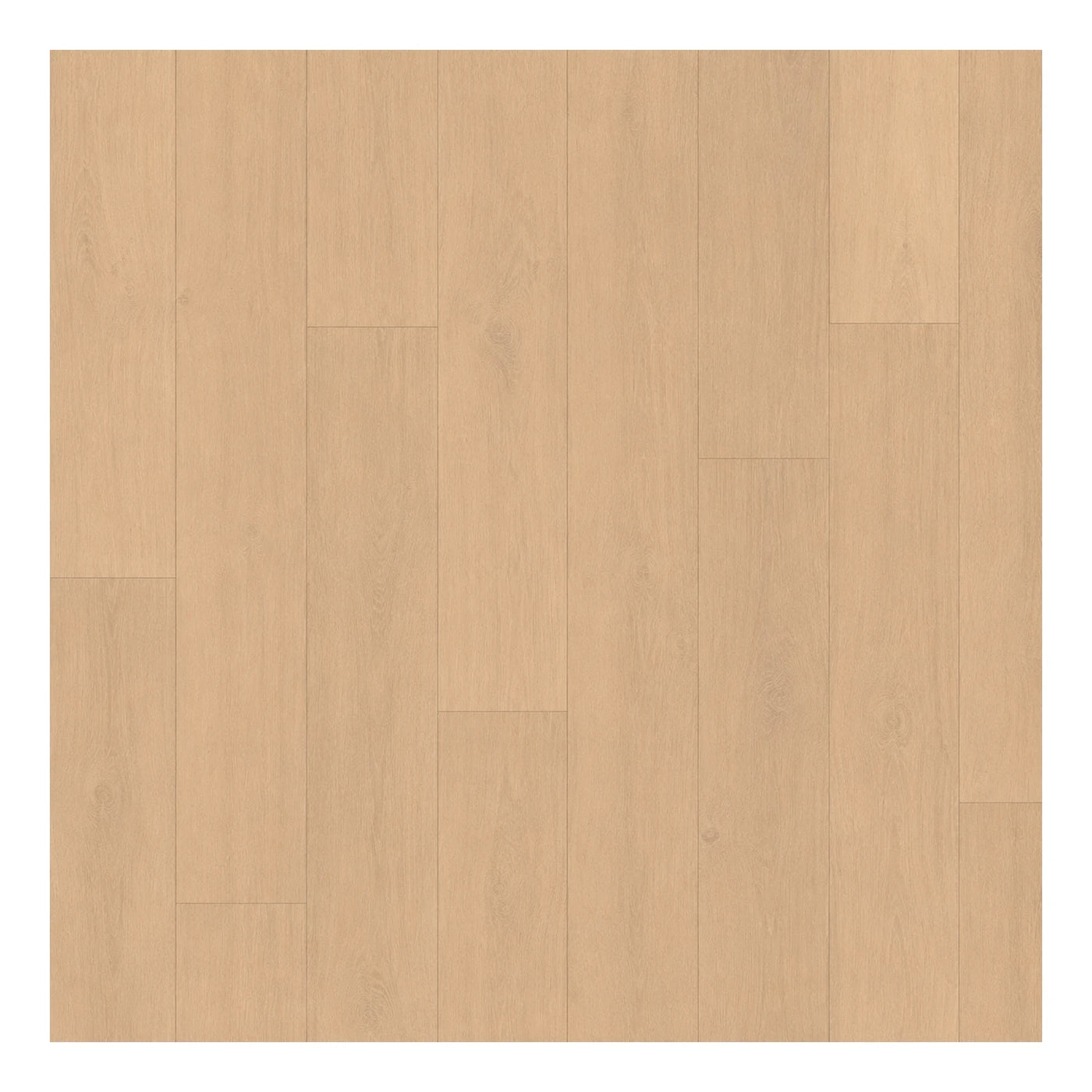 Minimal Light Oak Wood Plank Flooring Wood Flooring