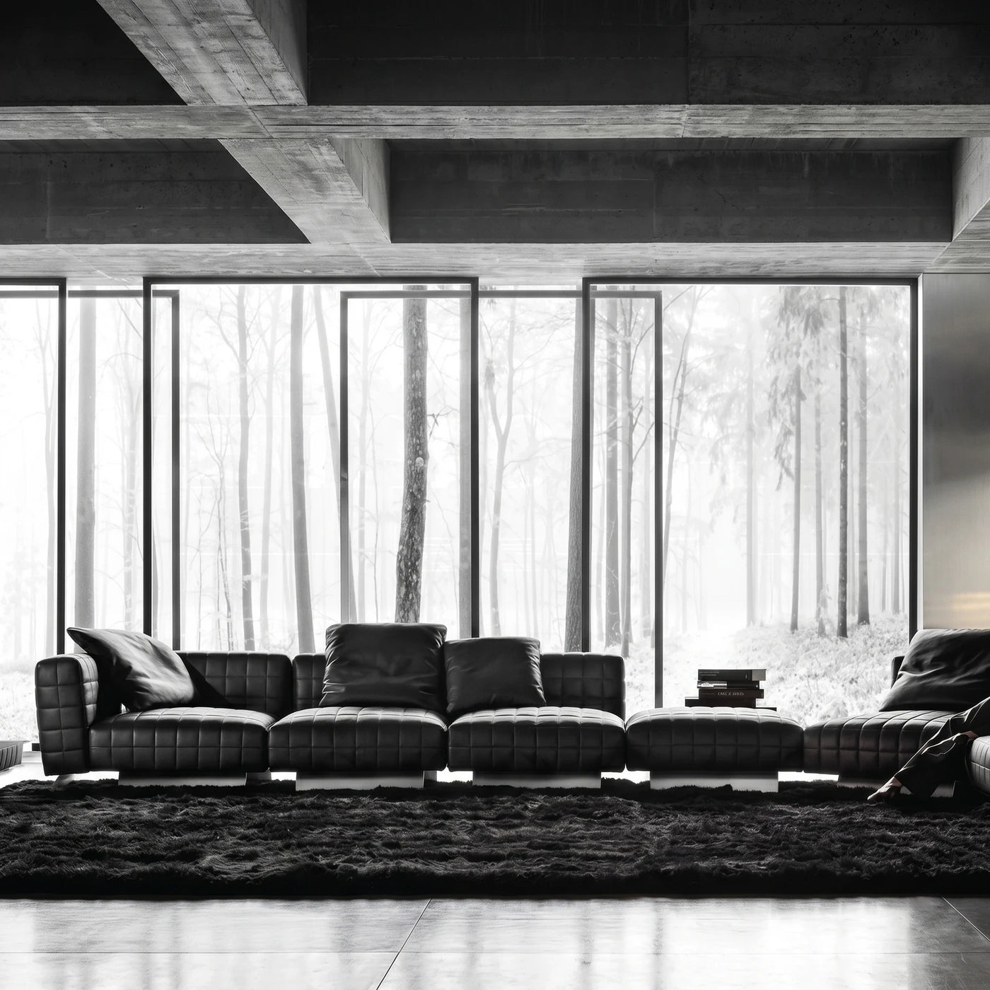 Modern Minimalist Black Leather Living Room